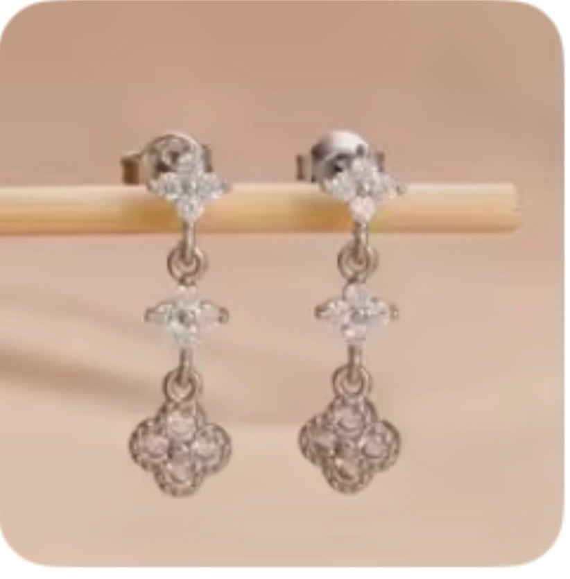 Fashion Stainless Steel Earrings